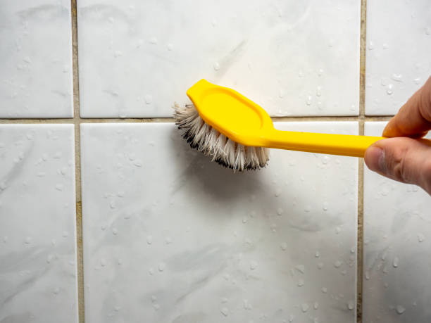 Reliable Hallsville, TX Mold Removal Solutions