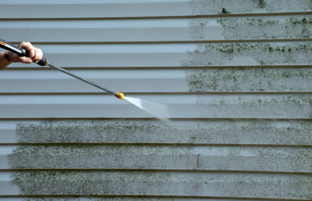 Best Attic Mold Removal  in Hallsville, TX